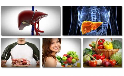 Максимально легкая ибыстроусваемая пища поможет разгрузить печень