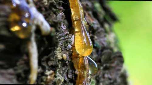 После всех манипуляций обязательно постирайте изделие