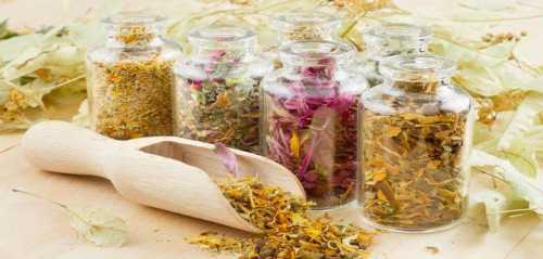 Они продаются как в отдельной упаковке, так и в виде лекарственных сборов