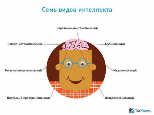 Типы интеллекта у детей