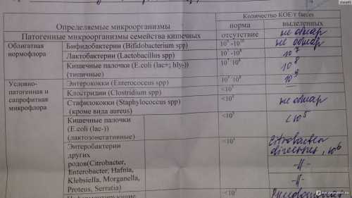 При этом родителям следует помнить, что в государственных медучреждениях есть свои часы работы и они не проводят исследования по выходным