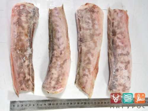 Рыба конгрио практически не опасна и не имеет противопоказаний