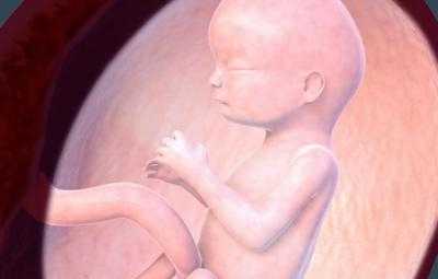 При дефиците этого элемента крови может возникнуть анемия беременных, о ее развитии подскажут головокружение, слабость, мелькание мушек перед глазами