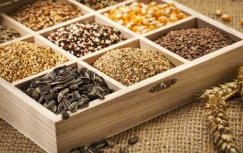 Как правило, они начинают болеть, когда уже отдали большую часть зеленцов предпочтение отдаем гибридам с букетным типом цветения пучковым расположением завязей