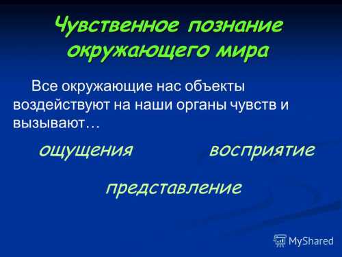 Все окружающие нас объекты воздействуют на наши органы чувств и вызывают ощущения, восприятия и представления