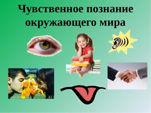 Все окружающие нас объекты воздействуют на наши органы чувств и вызывают ощущения, восприятия и представления