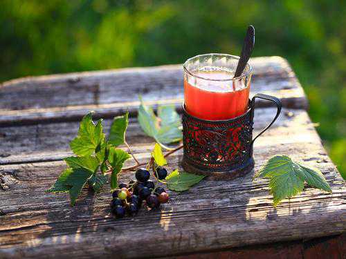 Польза и вред листьев чёрной смородины, чай из
