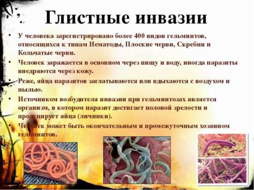 Лечение от паразитов должно быть строго персональным, а самостоятельный прием в качестве профилактики антигельминтных препаратов, недопустим