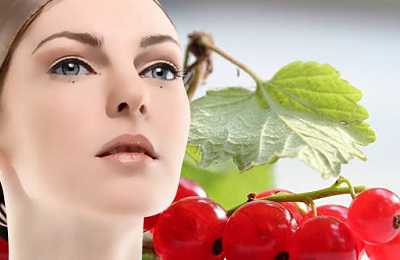 Тщательно разотрите стлтворога творог лучше брать домашний и жирный с стлсока, отжатого из плодов красной смородины и с члжидкого меда