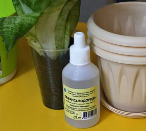 При такой подкормке саженцы начинают активно расти уже через несколько дней после начала процедуры