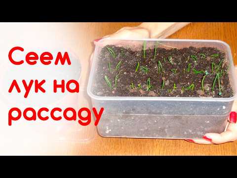 Подержите в этой жидкости часов