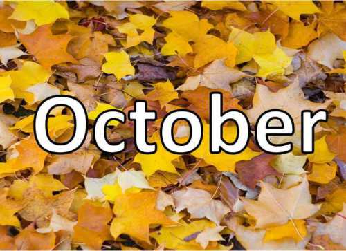 Теченью лет не прекословя, Мы