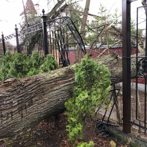 Обновлено в источников