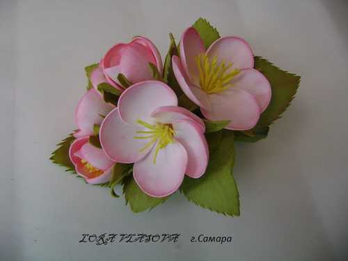 В среднем, высота такой яблони составляет около пяти метров