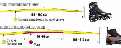 Как выбрать лыжи для конькового хода