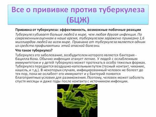 Прививка от туберкулеза