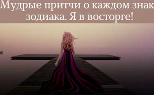 С этими словами он взял пергаментный свиток и направился в шатер, где горела лампа