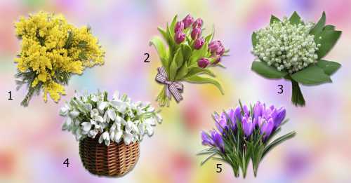 Что нам принесет весна