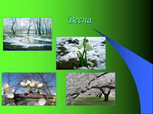 Дети его рассматривают, уточнить строение цветка